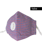 Westbury Red & Blue Gingham | Valve