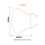 Paisley butterfly | Valve