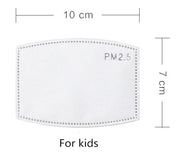 Replacement N95 Filter For Small Face Mask